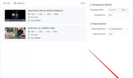 视频无损压缩软件,高效保存与传输的秘密武器